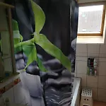 Doppelhaushaelfte Mit Garten Apartament Linz