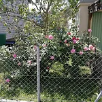 Apartament Doppelhaushaelfte Mit Garten