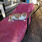 Doppelhaushaelfte Mit Garten Linz