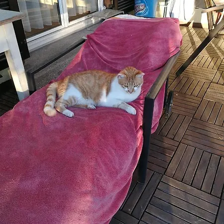 Doppelhaushaelfte Mit Garten Linz