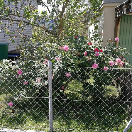 Appartement Doppelhaushaelfte Mit Garten